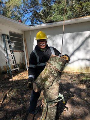 stutzman tree service|tree service dade city florida.